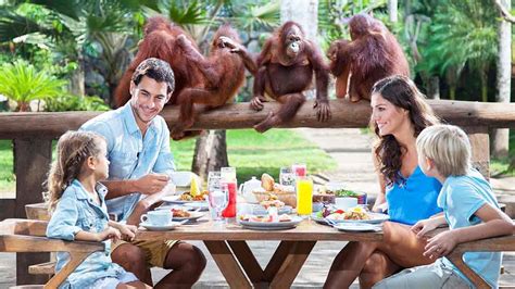 breakfast with the orangutans bali